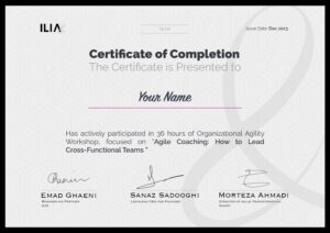 Certificate Agile Coaching Test